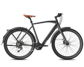 Fafrees F700M Electric Bike